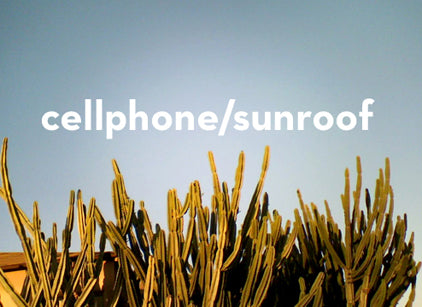 cellphone/sunroof